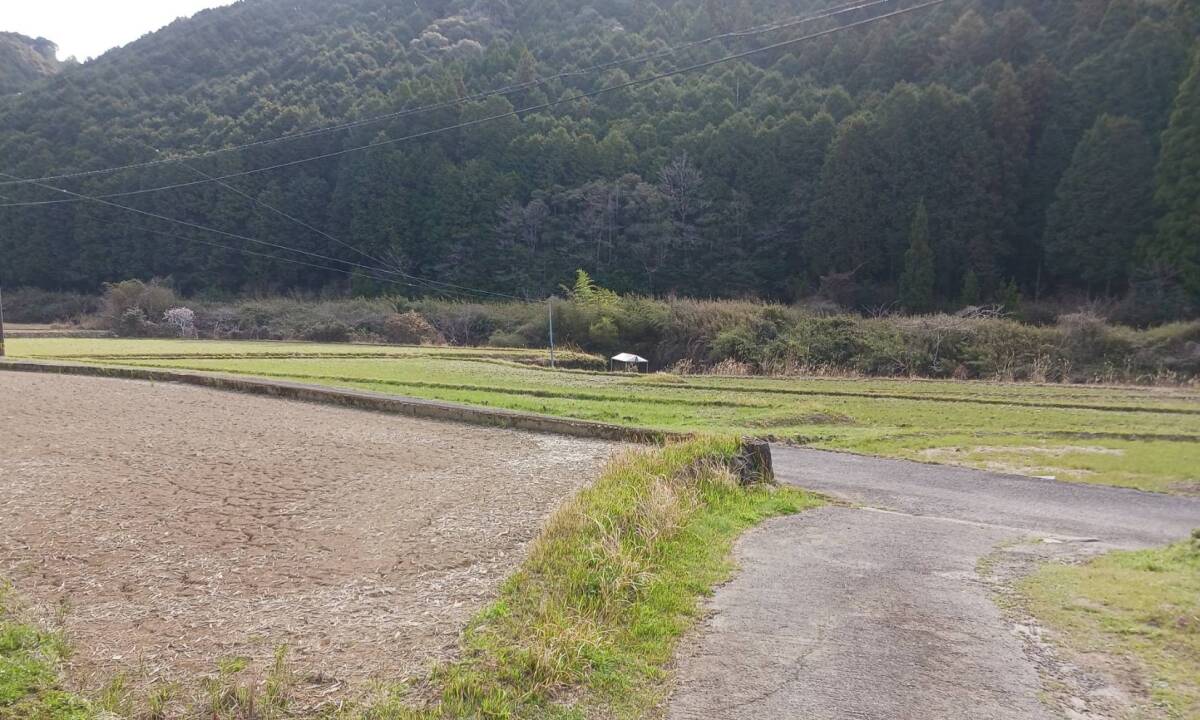 令和6年産 ヒノヒカリ 玄米 約30㎏ 高知県四万十町産 産地直送