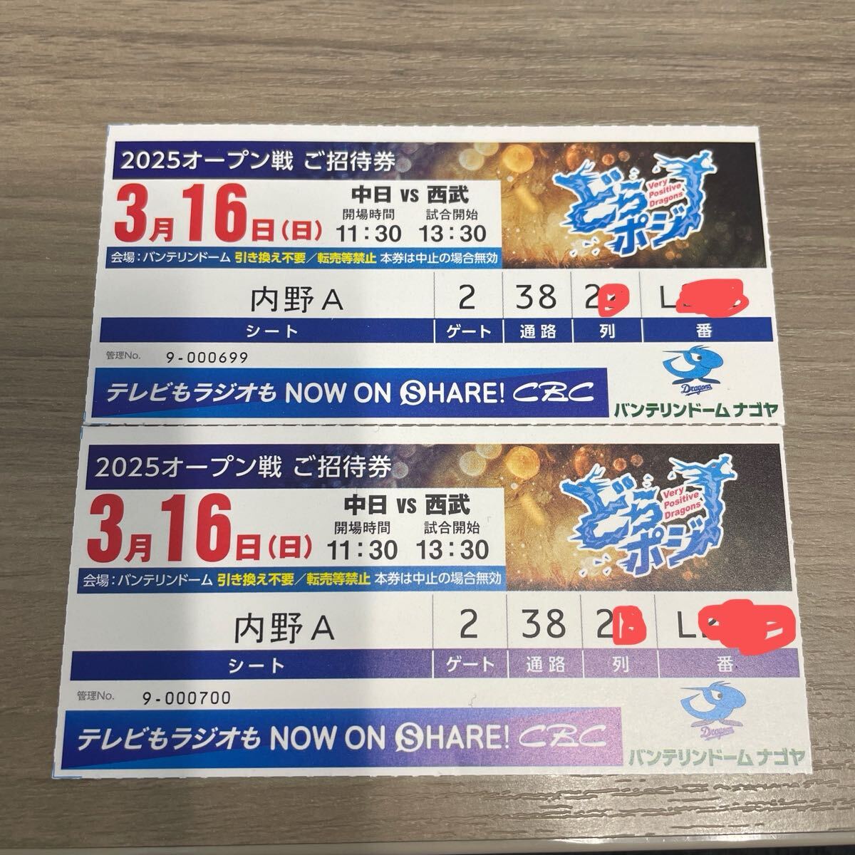 バンテリンドームナゴヤ オープン戦 中日対西武 内野A席 ペア