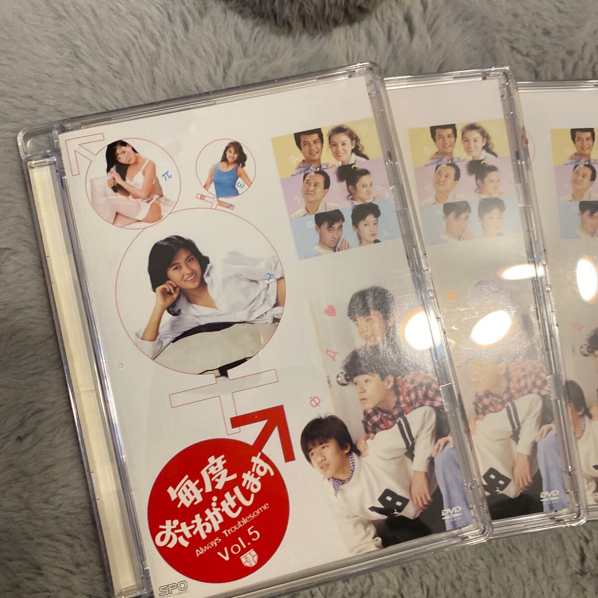 毎度おさわがせします DVD-BOX 中山美穂 木村一八 堀江しのぶ 毎度おさわがせします DVD-BOX 中山美穂 木村一八 堀江しのぶ