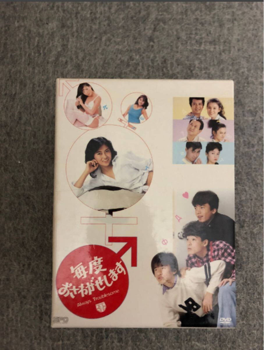 毎度おさわがせします DVD-BOX 中山美穂 木村一八 堀江しのぶ 毎度おさわがせします DVD-BOX 中山美穂 木村一八 堀江しのぶ