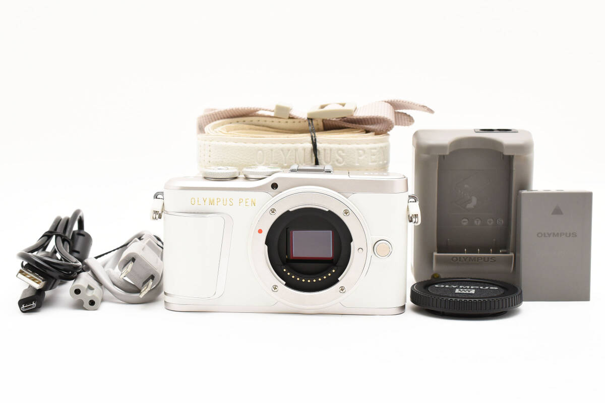 超美品 オリンパス E-PL9 ミラーレス デジタルカメラ ボディ シャッター回数 1793 Olympus ホワイト 528
