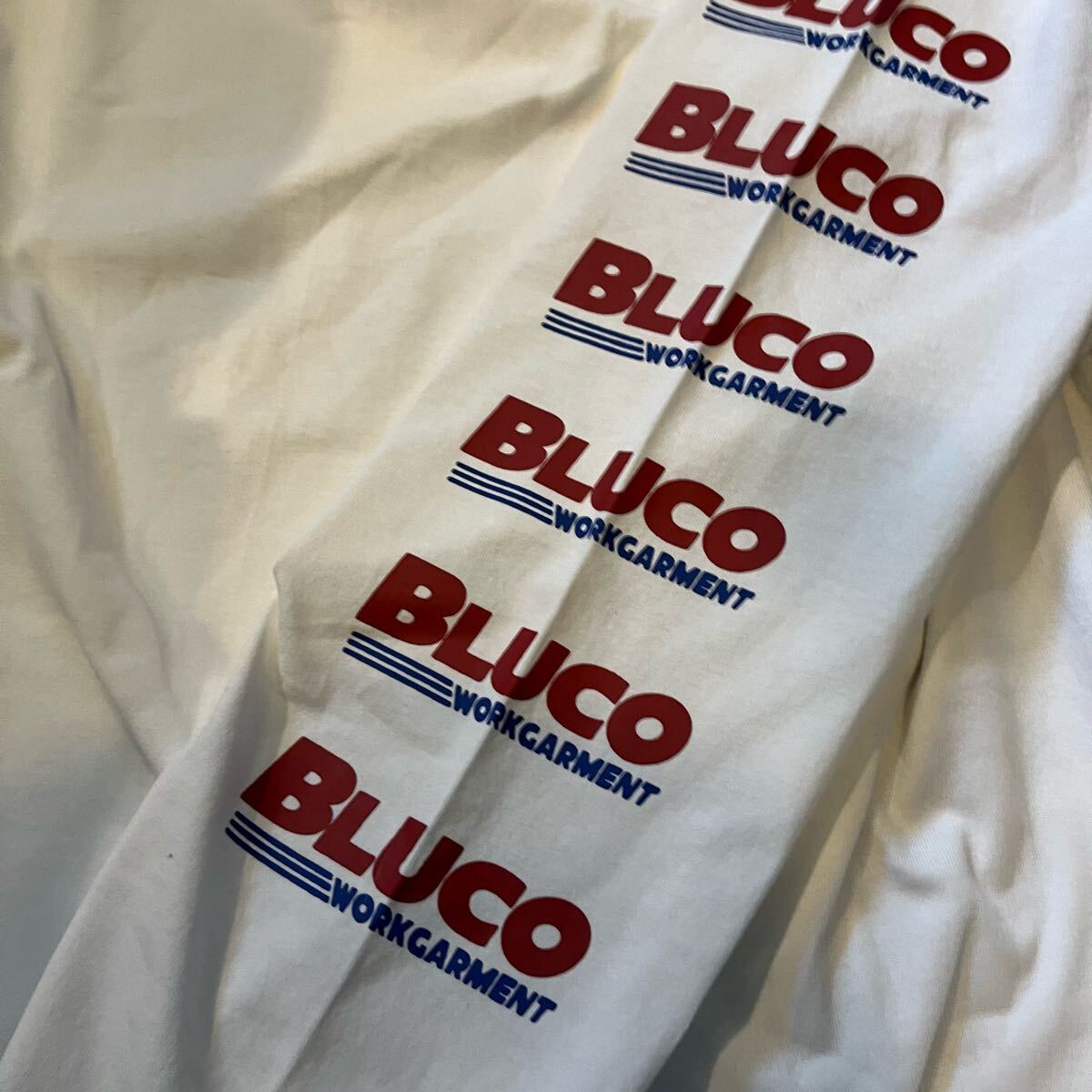 BLUCO/brukoPRINT L/S TEE -BWG- белый L