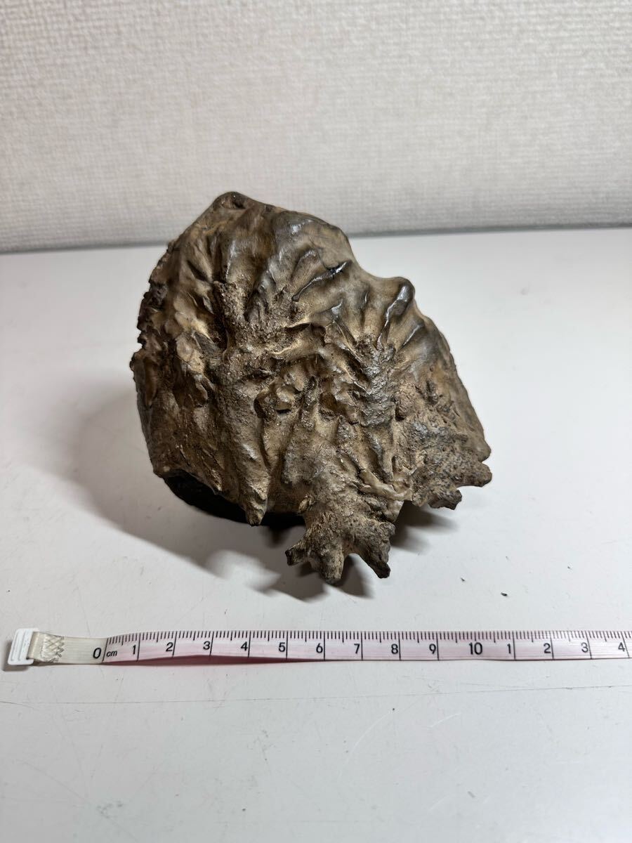 水石 富士川石 滝石 ミニ 天然石 鑑賞石 自然石 盆石 加工無し