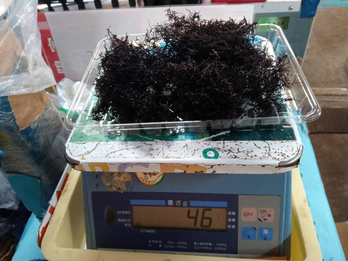 46gはこのボリュームです。