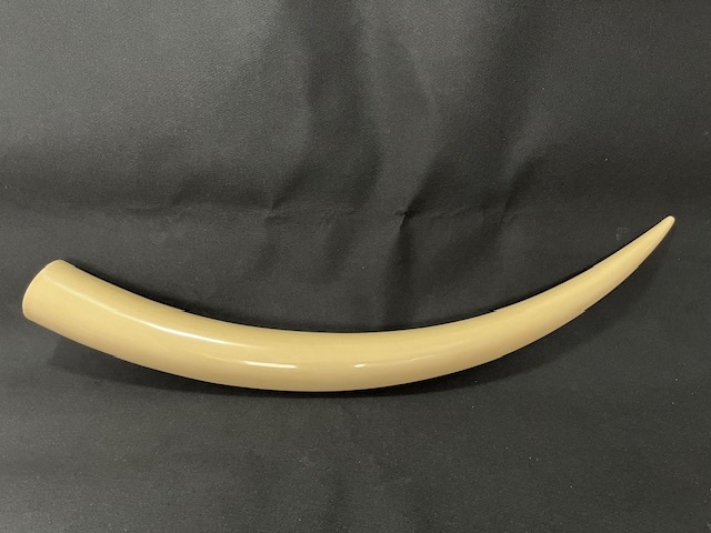 超美品> 特大 象牙風 マンモス風 一本物 一本牙 / 全長約140cm 超美品> 特大 象牙風 マンモス風 一本物 一本牙 / 全長約140cm