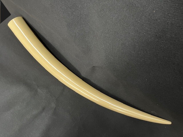 超美品> 特大 象牙風 マンモス風 一本物 一本牙 / 全長約140cm 超美品> 特大 象牙風 マンモス風 一本物 一本牙 / 全長約140cm