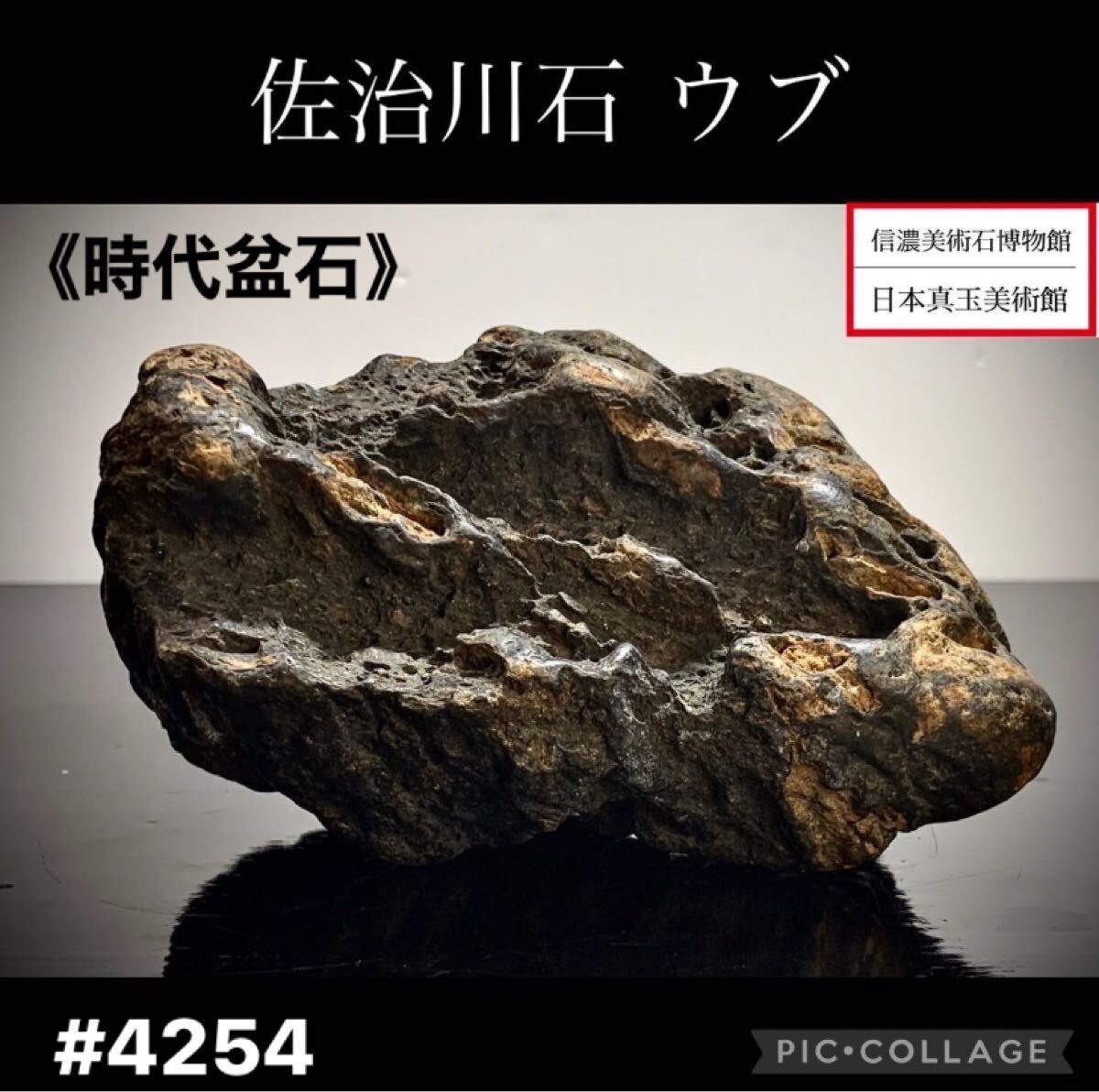 信濃美術石博物館】水石 《時代盆石》良質 ! 佐治川石 ウブ横12 信濃美術石博物館】水石 《時代盆石》良質 ! 佐治川石 ウブ横12