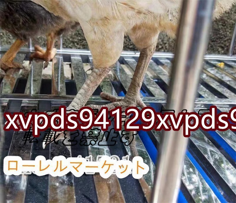 78*53*67cm 折り畳み式 実用品★鶏用ケージ ステンレス鋼 飼育ケージ 鶏籠 卵トレイ付き 鶏用ケージ