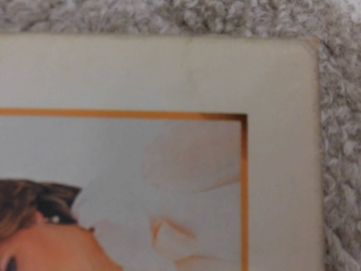 中古　レトロ★本 　冊子　記念誌★The　Royal　Betrothal（王室の婚約）イギリス王室　チャールズ皇太子　ダイアナ妃★1冊_画像9