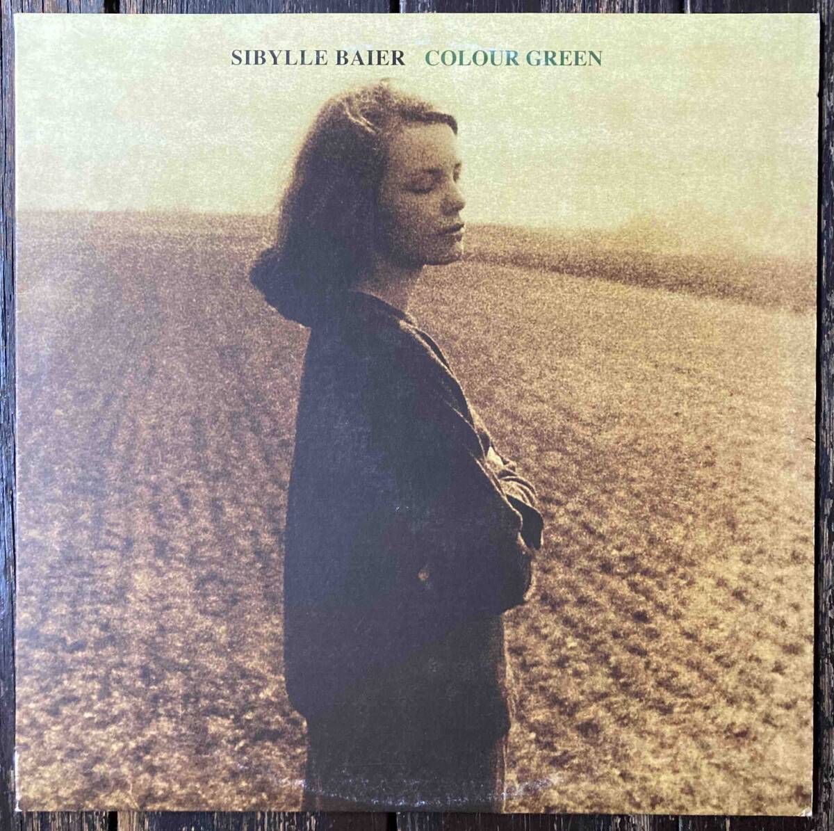 LP Sibylle Baier - Colour Greenasido вилка Vashti Bunyan бог . серия тайна серия лес девушка синий лист город .