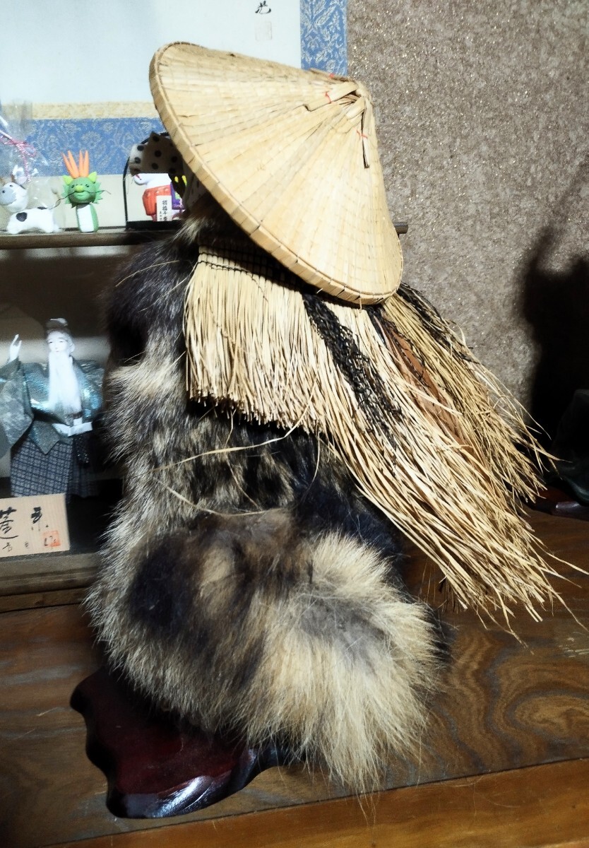 ☆希少 縁起物 タヌキの剥製 本物 高さ 約55cm 置物 商売繁盛 ☆希少 縁起物 タヌキの剥製 本物 高さ 約55cm 置物 商売繁盛