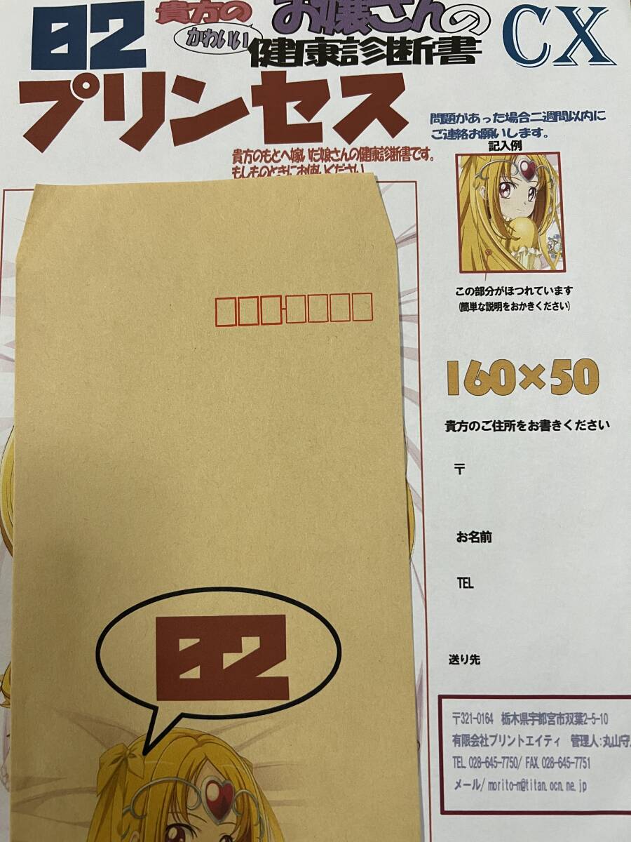 新品未開封 マークス プリンセス 02 抱き枕カバー 健康診断書付 新品未開封 マークス プリンセス 02 抱き枕カバー 健康診断書付