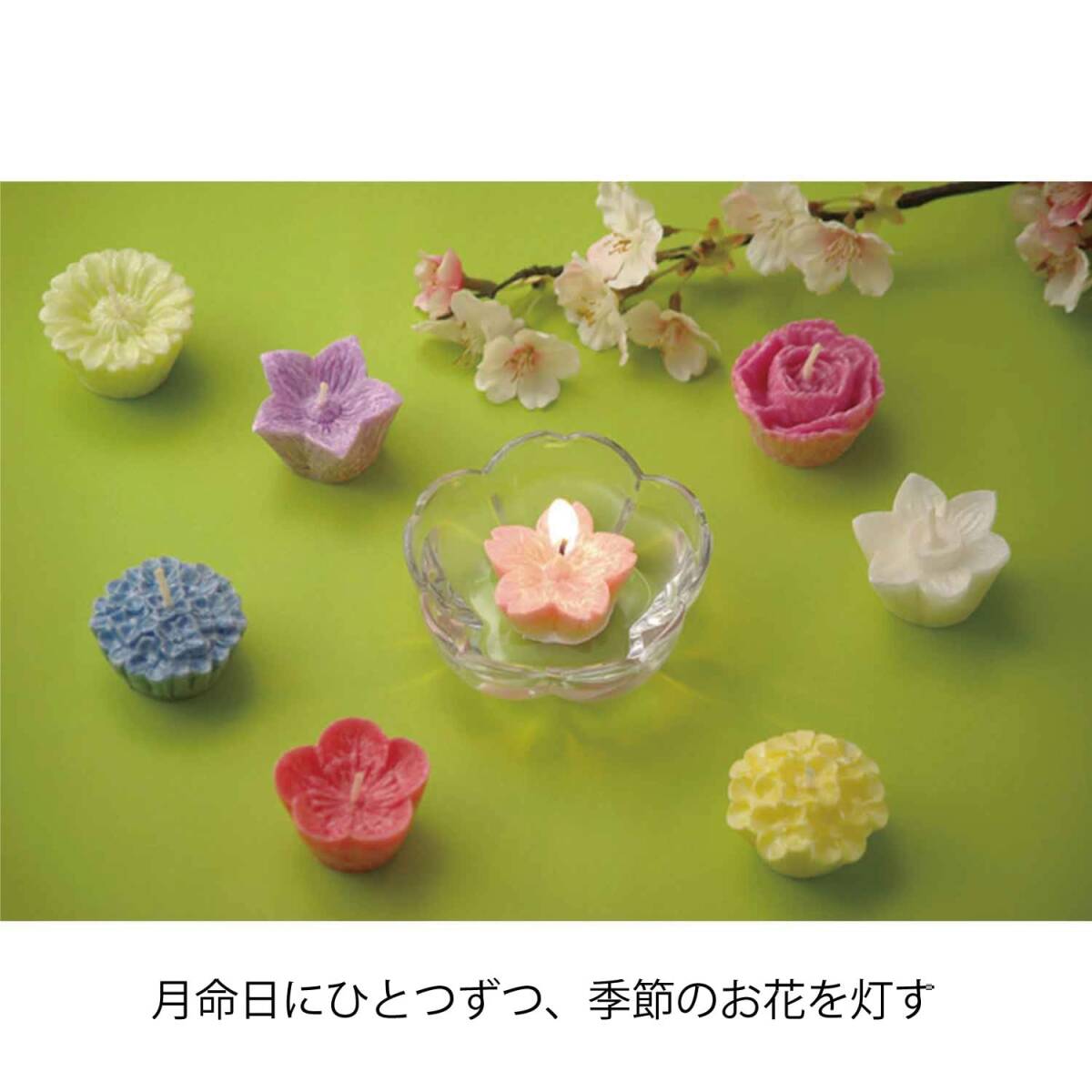 カメヤマ 花づくしギフトセット(植物性) 水に浮かぶキャンドル 季節(jié)のお花 植物原料使用