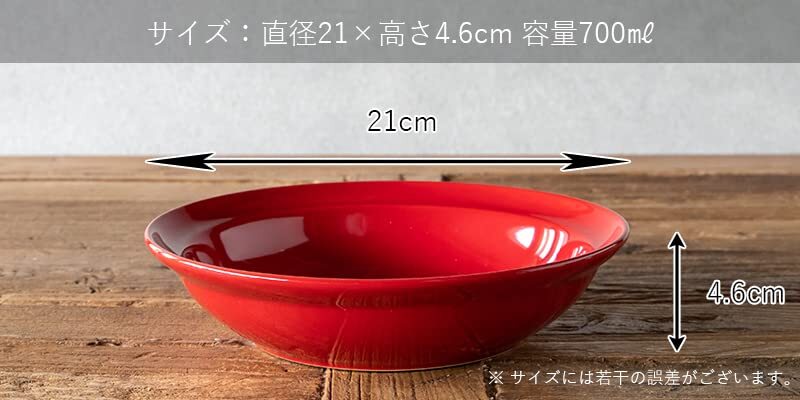 HINATA ヒナタ カレー&パスタ ブルー 直径21×高さ4.6cm T-942000_画像4