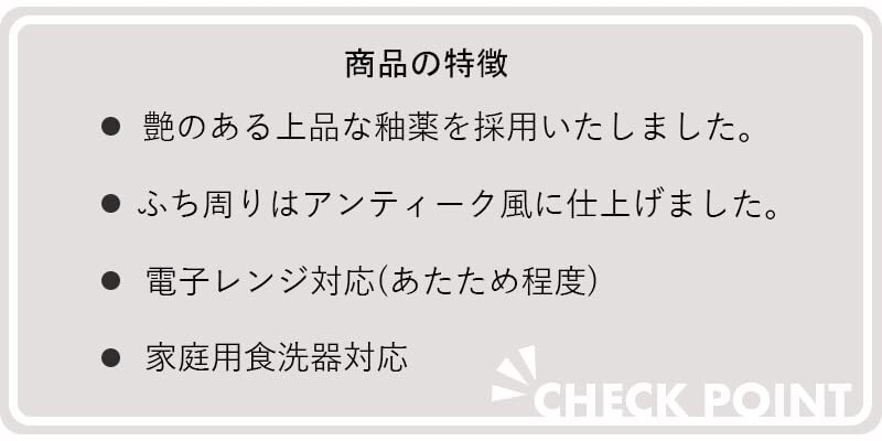 HINATA ヒナタ カレー&パスタ ブルー 直径21×高さ4.6cm T-942000_画像6