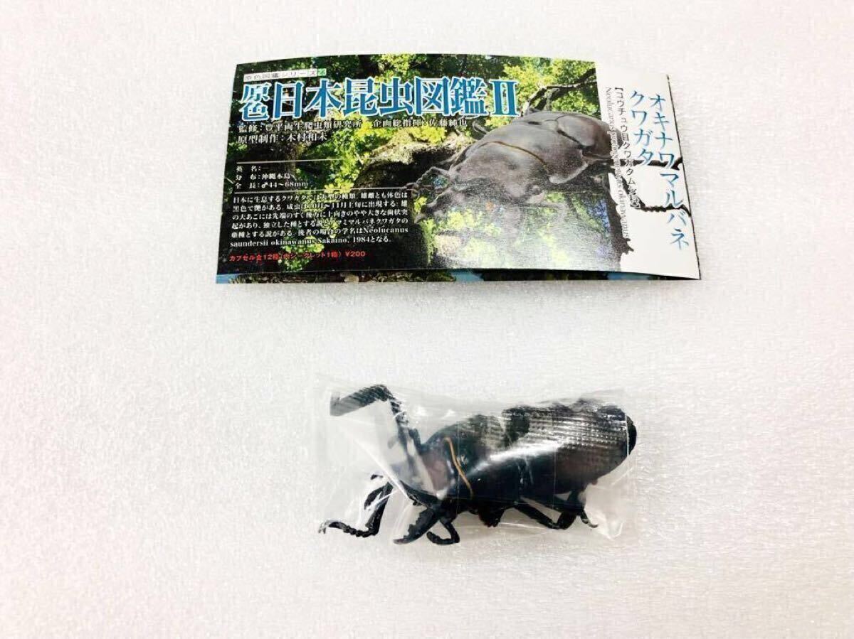 ★即決★ユージン★原色日本昆虫図鑑Ⅱ★ オキナワマルバネクワガタ★未使用★未開封品★YUJIN★昆虫フィギュア★ミニブック付★