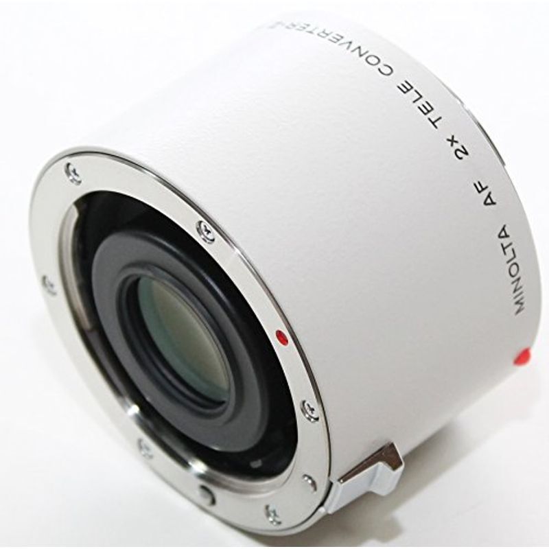 【F6号/2023年製作】２娘１（ニコイチ）天使と悪魔【イラストアート】 F6号/2023年製作】2娘1（ニコイチ）天使と悪魔【イラスト