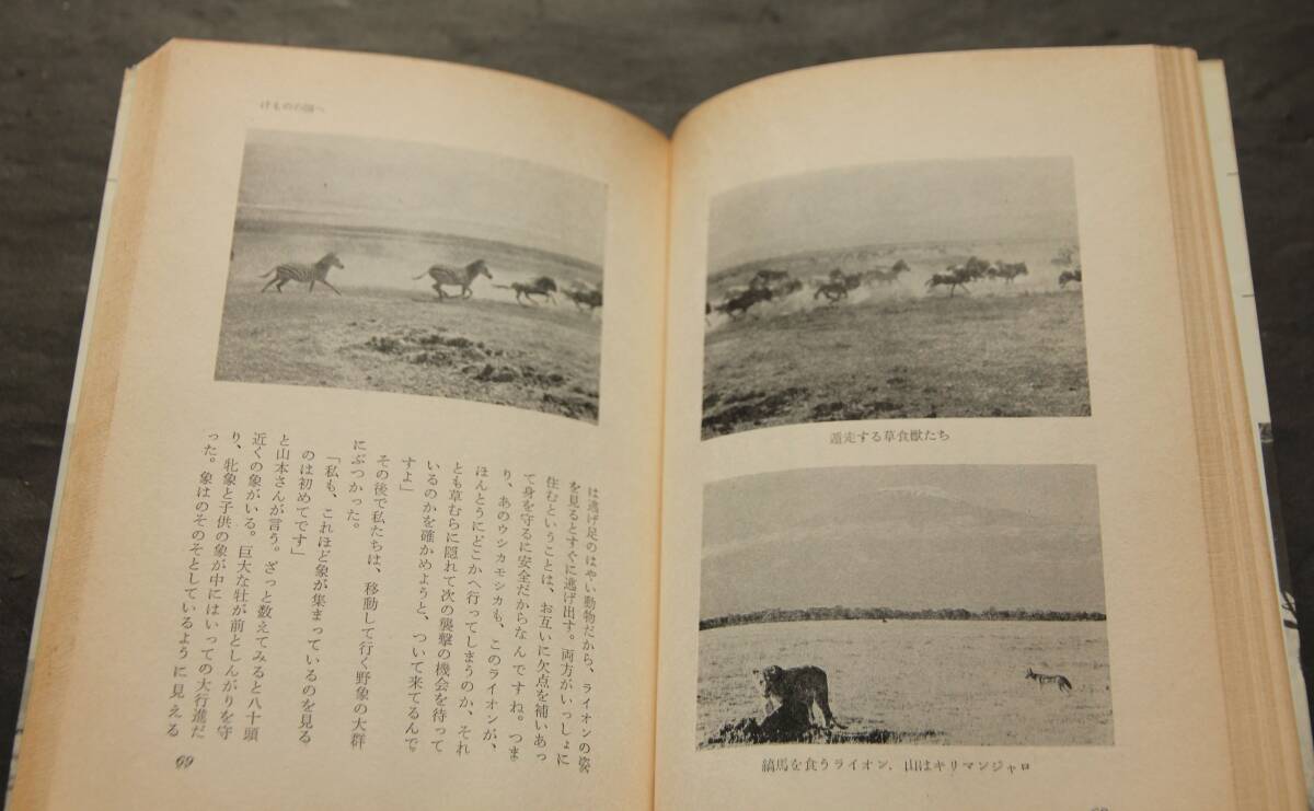 けものの國へ　ペンとカメラのアフリカ動物旅行　戸川幸夫著　象の湖、バブーンと豹の話、アフリカの本屋さん、木の上ホテル、他