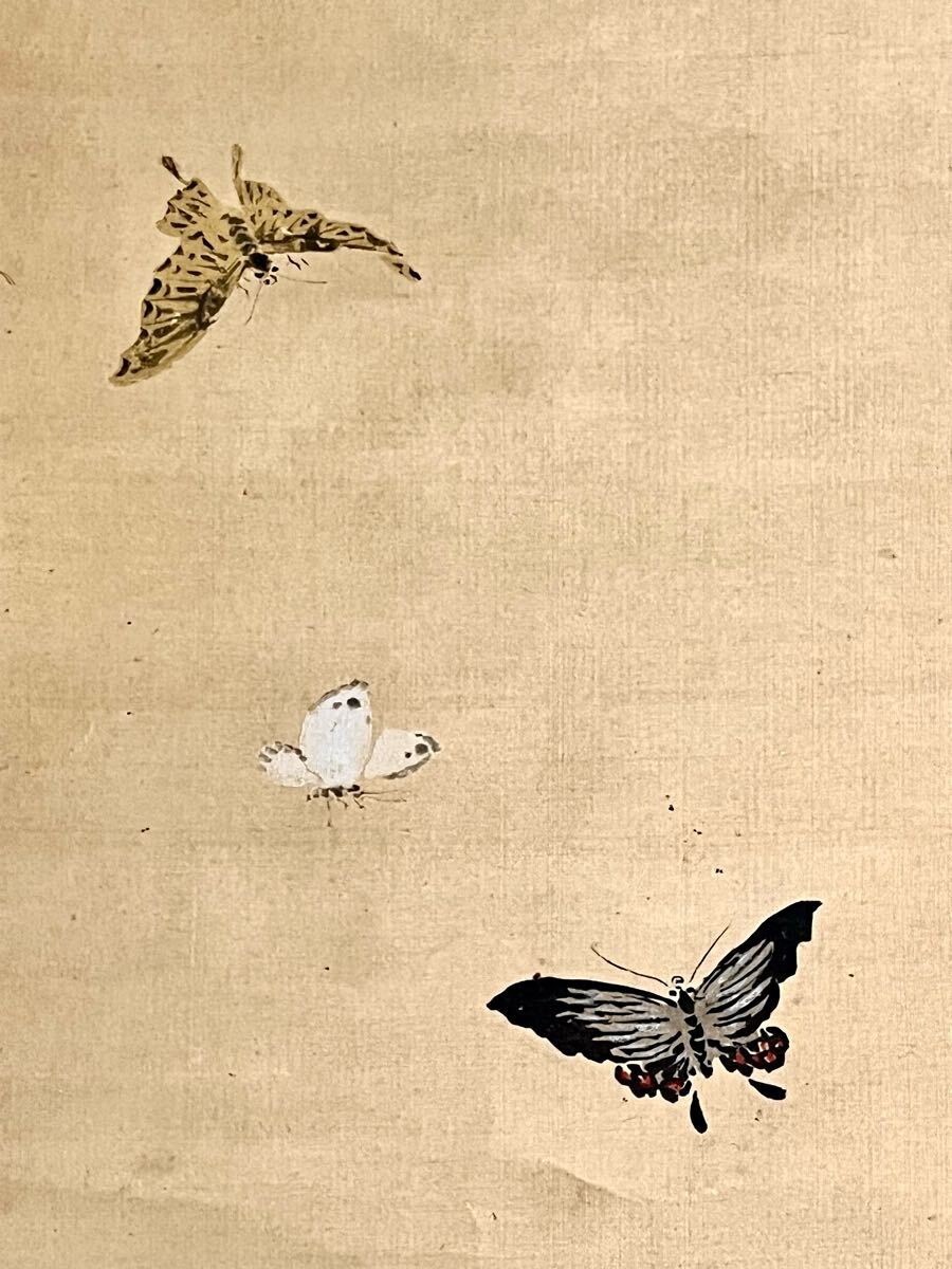 狩野方信「堅物」掛軸 絹本：花鳥画｜絵画 - 絵画