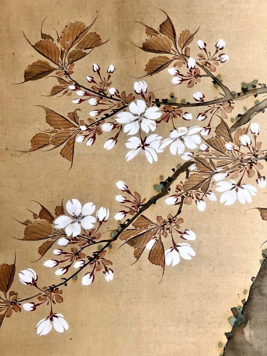 真作】【仙】厳選品 佐久間棲谷「桜花双鳩図」絹本 肉筆 合箱