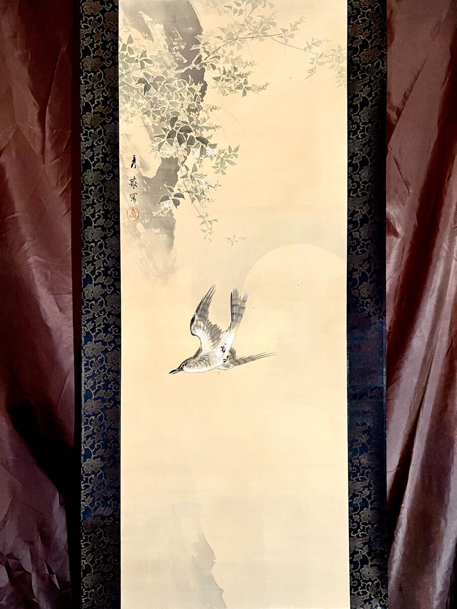 真作】【仙】池上秀畝「杜鵑叫月」絹本 肉筆 共箱 花鳥図 鳥獣 真作】【仙】池上秀畝「杜鵑叫月」絹本 肉筆 共箱 花鳥図 鳥獣