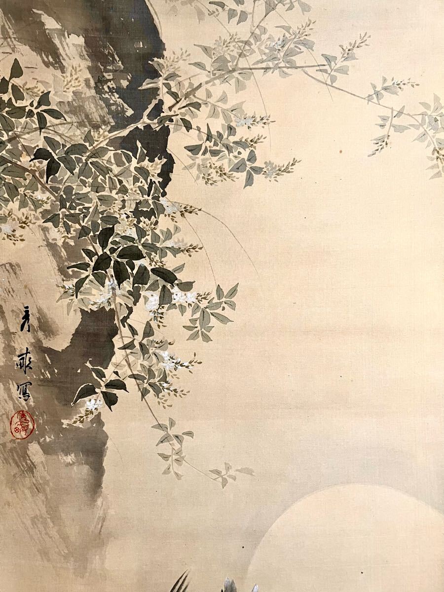真作】【仙】池上秀畝「杜鵑叫月」絹本 肉筆 共箱 花鳥図 鳥獣 真作】【仙】池上秀畝「杜鵑叫月」絹本 肉筆 共箱 花鳥図 鳥獣