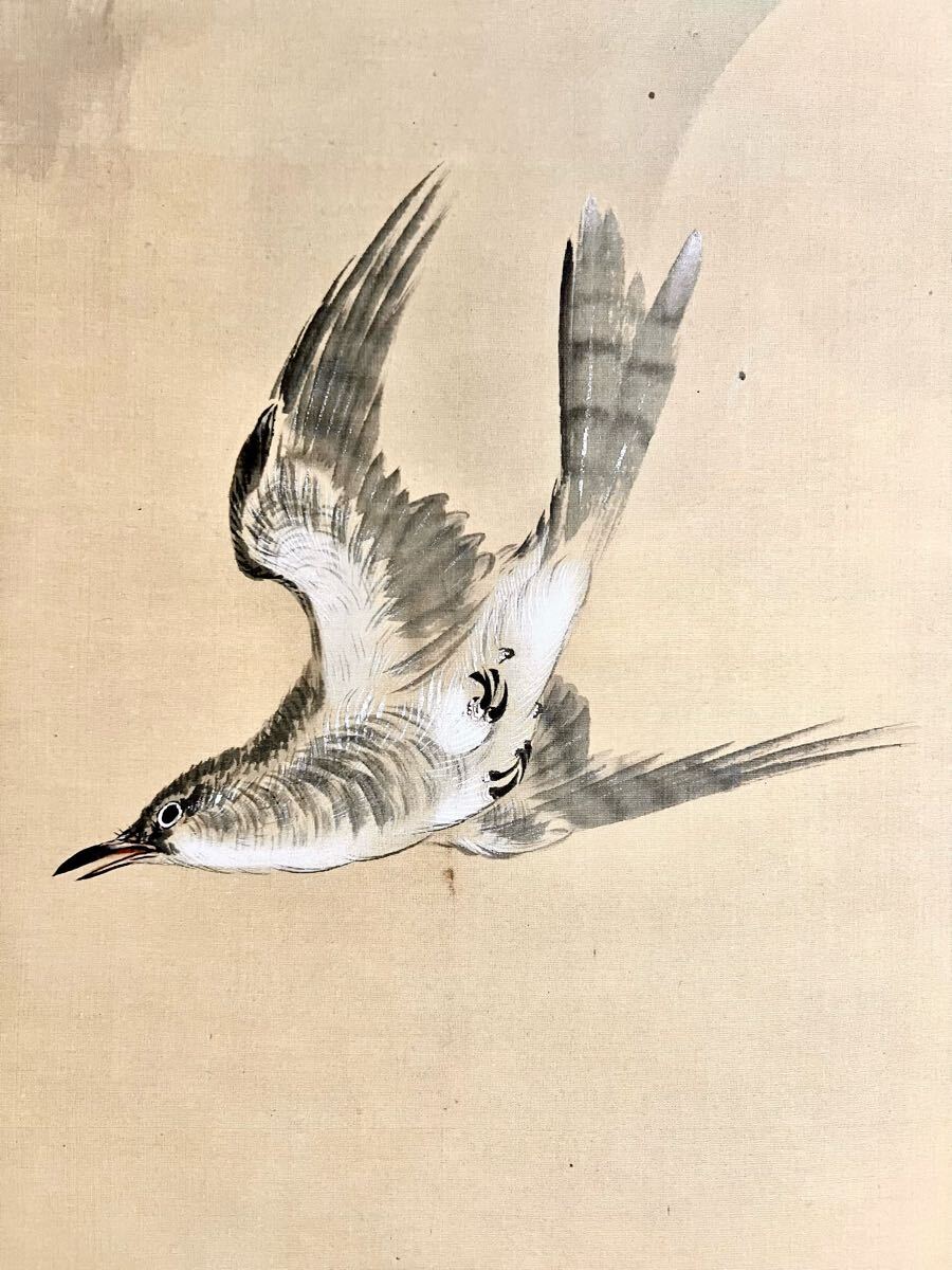 真作】【仙】池上秀畝「杜鵑叫月」絹本 肉筆 共箱 花鳥図 鳥獣 真作】【仙】池上秀畝「杜鵑叫月」絹本 肉筆 共箱 花鳥図 鳥獣