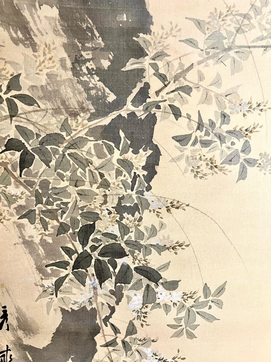 真作】【仙】池上秀畝「杜鵑叫月」絹本 肉筆 共箱 花鳥図 鳥獣 真作】【仙】池上秀畝「杜鵑叫月」絹本 肉筆 共箱 花鳥図 鳥獣