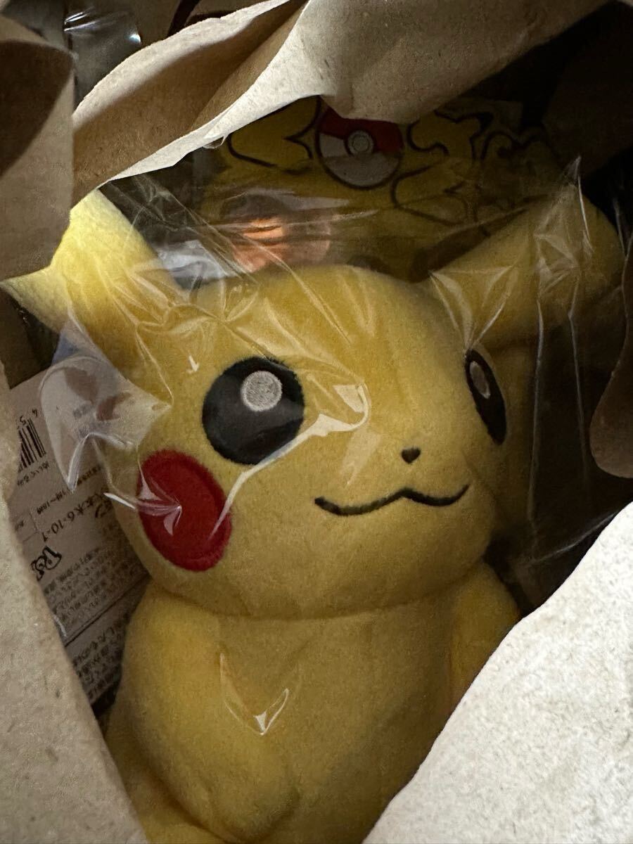 ポケットモンスター(ポケモン)】レッツゴー2025サングラチュウ ポケットモンスター(ポケモン)】レッツゴー2025サングラチュウ