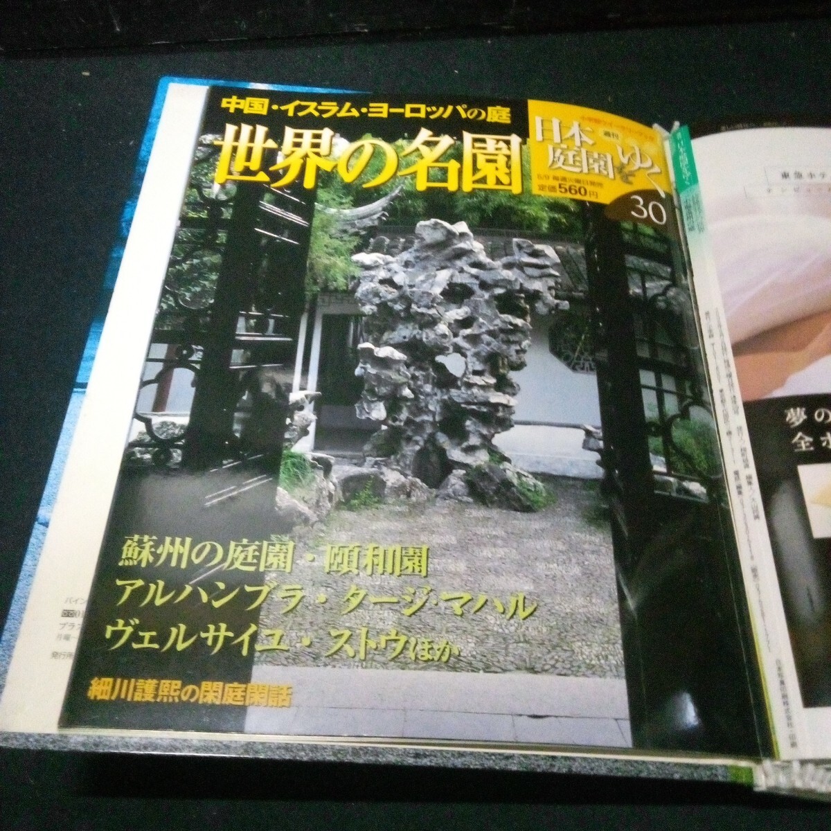 item_image_8