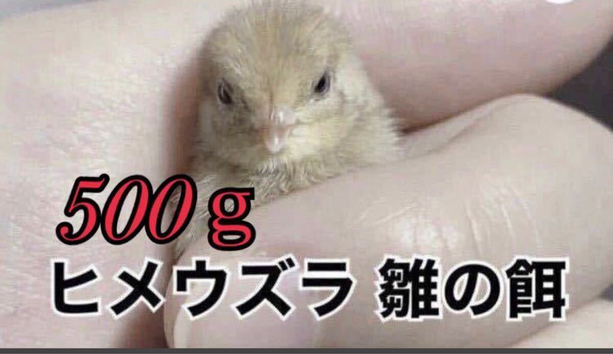 500ｇ ヒメウズラ餌 雛用 ヒナ 餌 うずら ひめうずら ヒメウズラ 鳥 姫鶉