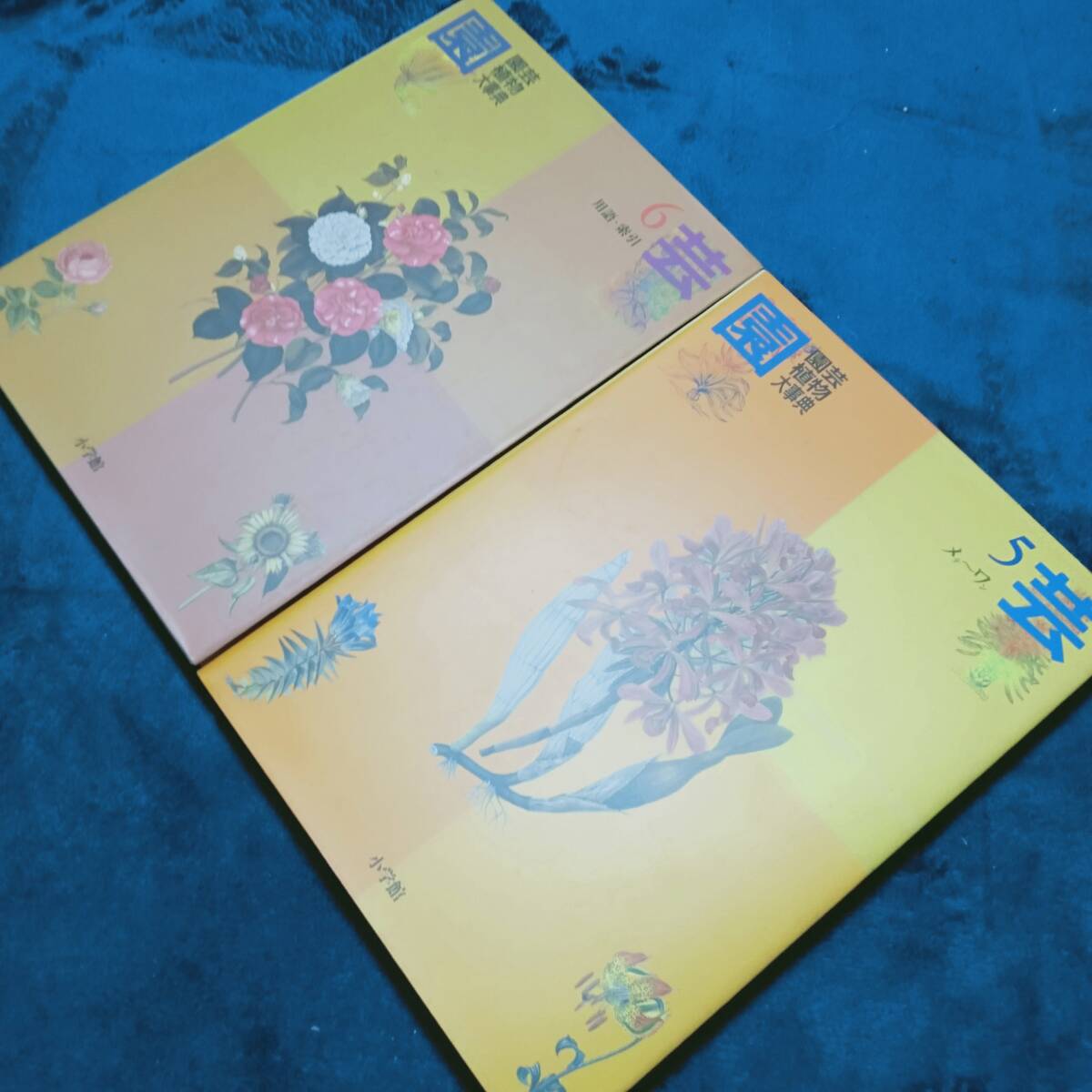 item_image_7