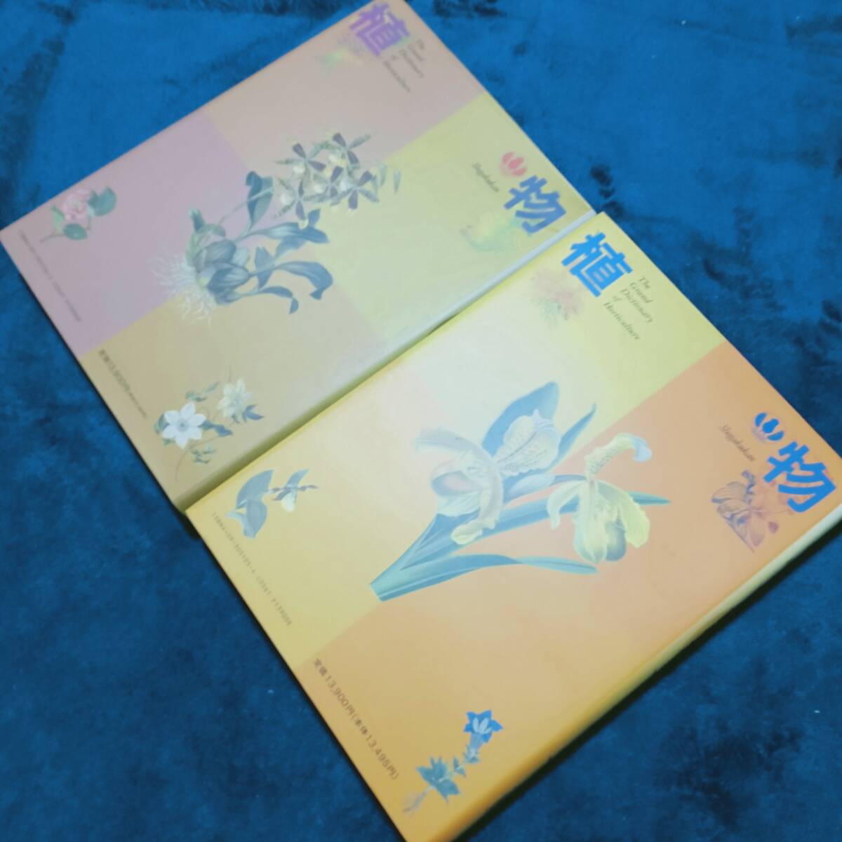 item_image_8