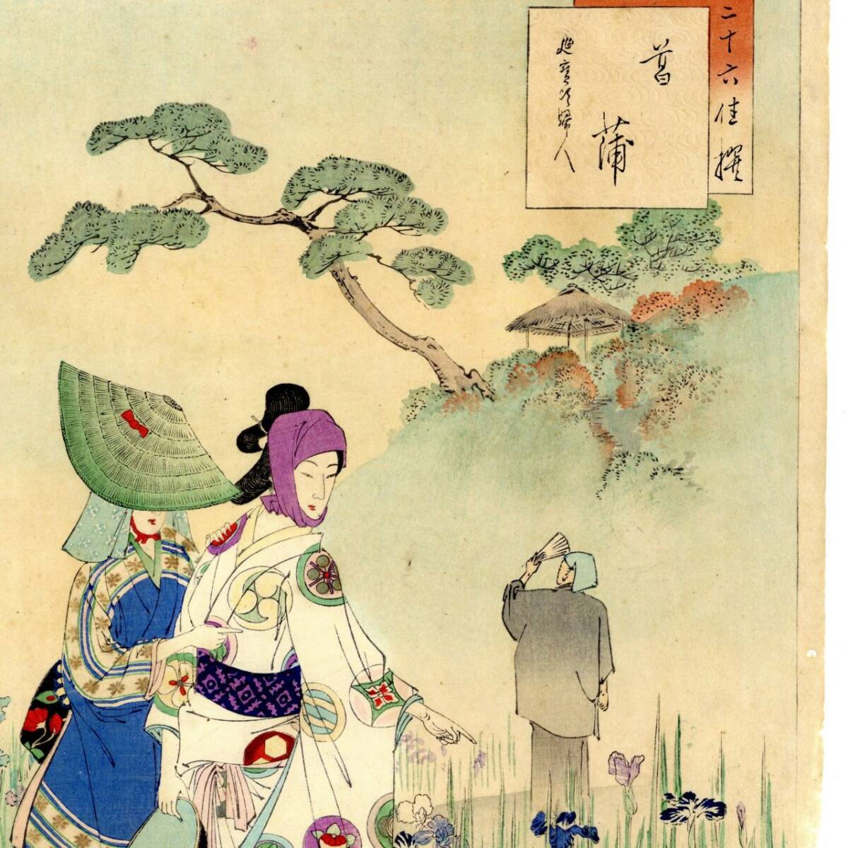 浮世絵、三十六佳撰菖蒲(延宝頃婦人）水野年方画 水野年方による浮世絵「「三十六佳撰」 「菖蒲」「延寶頃美人」」