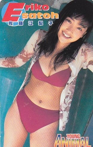★佐藤江梨子　ヤングアニマルテレカ