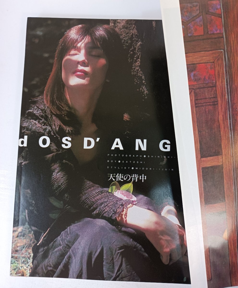 ジュネ/JUNE 今、危険な愛(ài)を超えて 1982.7 No.5 サン出版/鈴木雅子/久掛彥見(jiàn)/森川久美/いしかわじゅん/中島梓/竹宮恵子/佐藤陽(yáng)子/B3503079