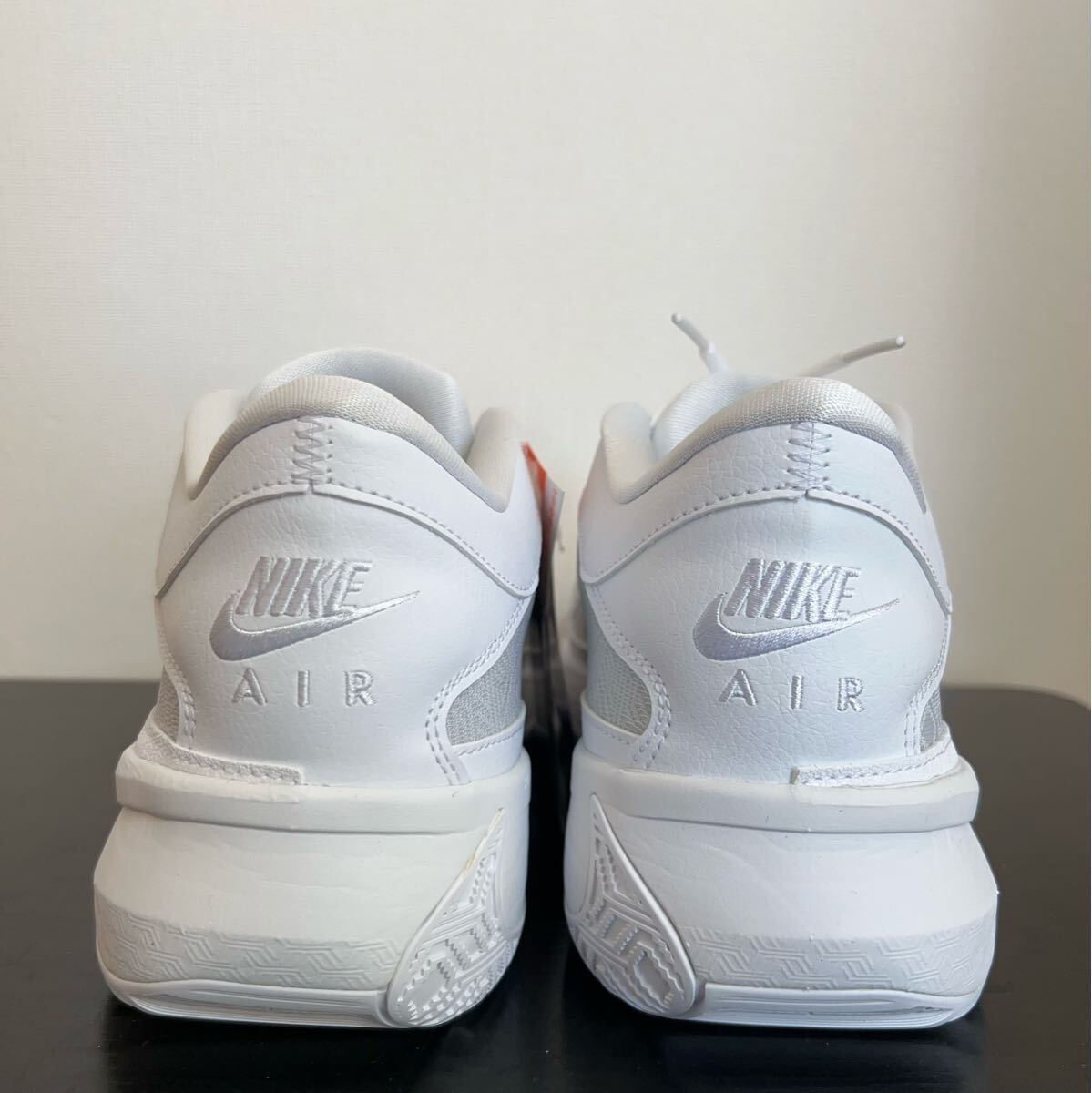 早い者勝ちセール　NIKE ナイキ ズームフリーク 5 バスケットボール　シューズ　スニーカー　FN7306-100 25.5cm