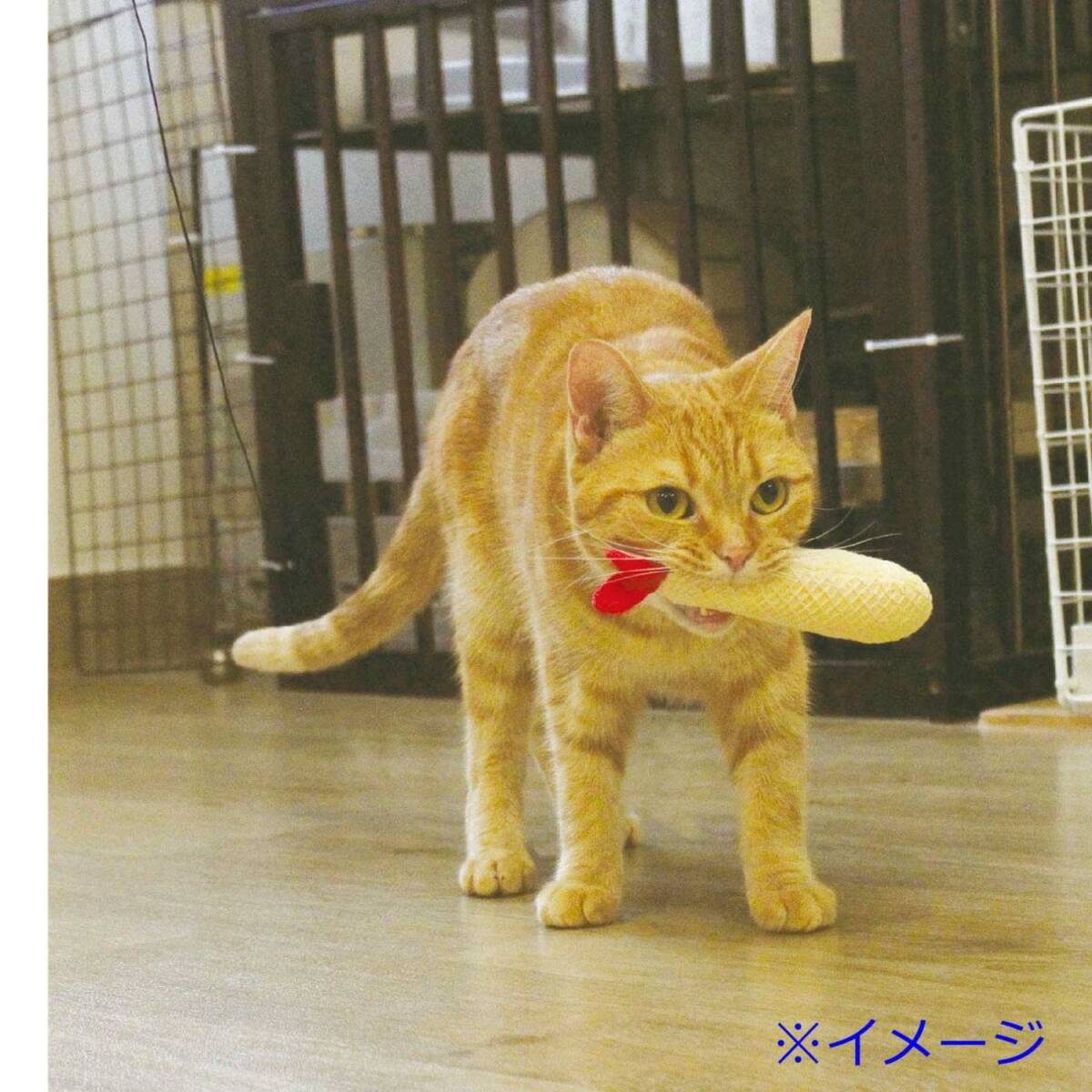 キャティーマン (CattyMan) ネコ用 にゃんデント アミメでハミガキ えびフライ