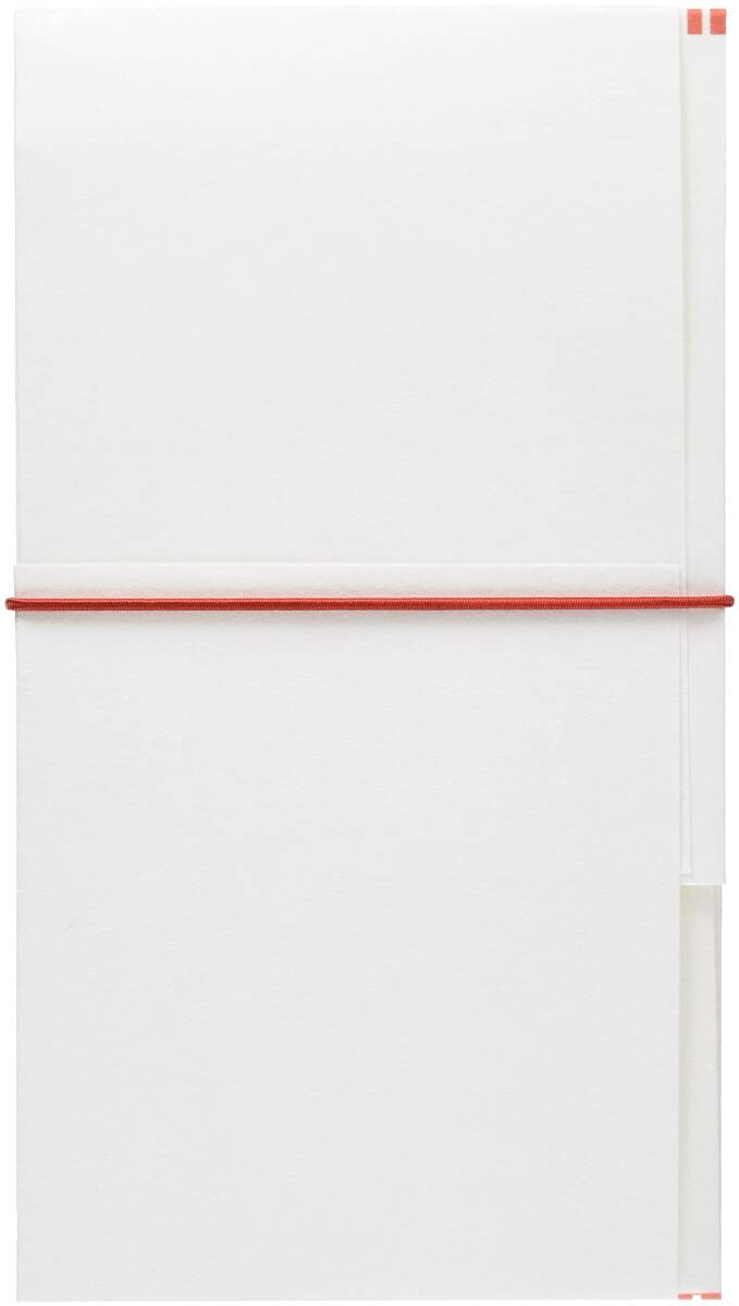 金封 慶事用 日本製 水引ゴム金封 シルク奉書 結梅 伊予結納センター 七五三お祝い S064-05_画像2