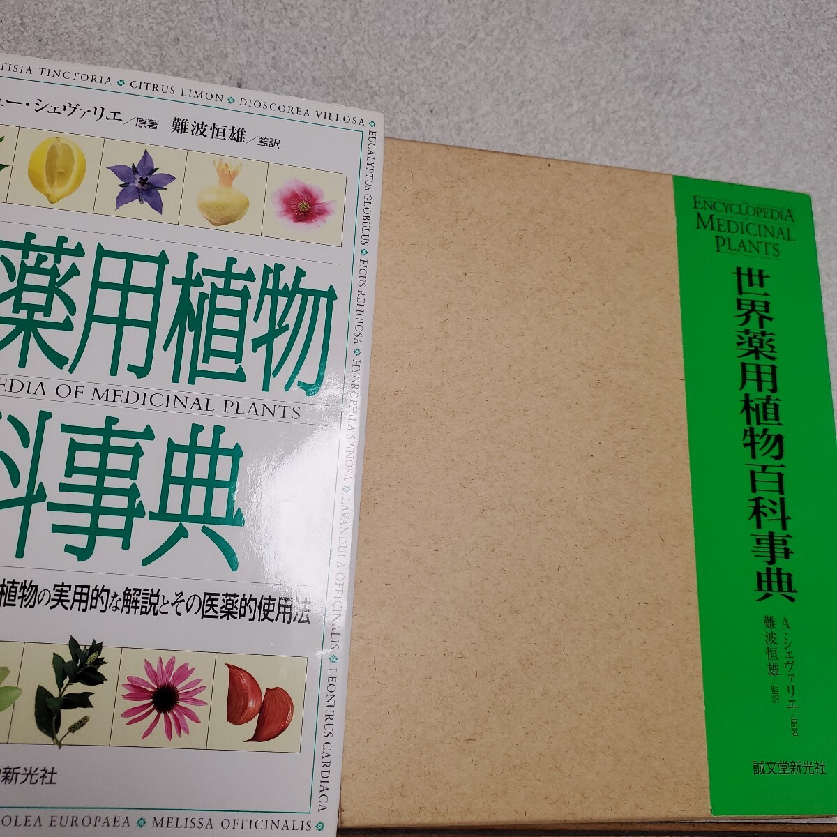 世界薬用植物百科事典 Yahoo!オークション - 世界薬用植物百科事典 550種をこす世界