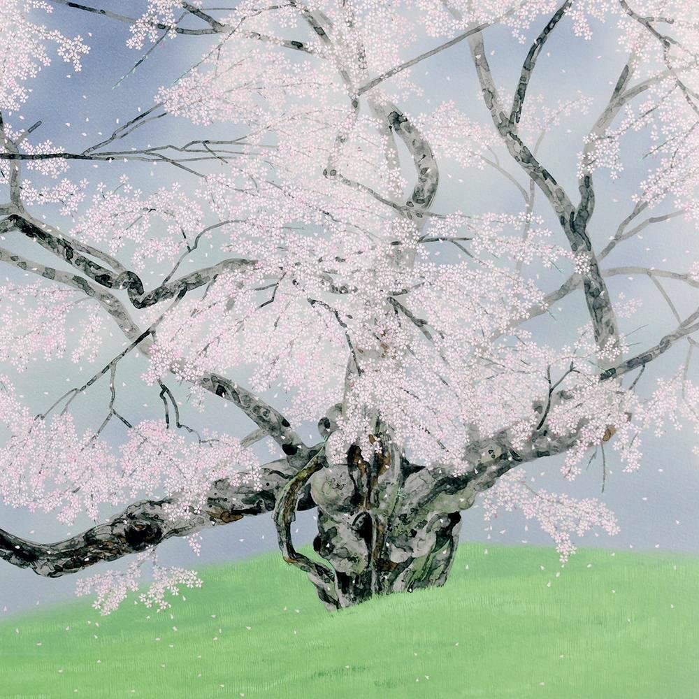 真作】【WISH】中島千波「臥瀧桜」リトグラフ 約25号 大作 直筆 真作】【WISH】中島千波「臥瀧桜」リトグラフ 約25号 大作 直筆