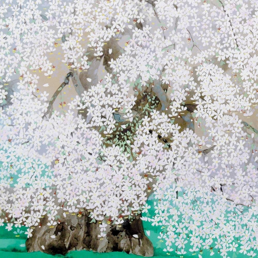 真作】【WISH】中島千波「三春の瀧桜」リトグラフ 20号大 大作 真作】【WISH】中島千波「三春の瀧桜」リトグラフ 20号大 大作