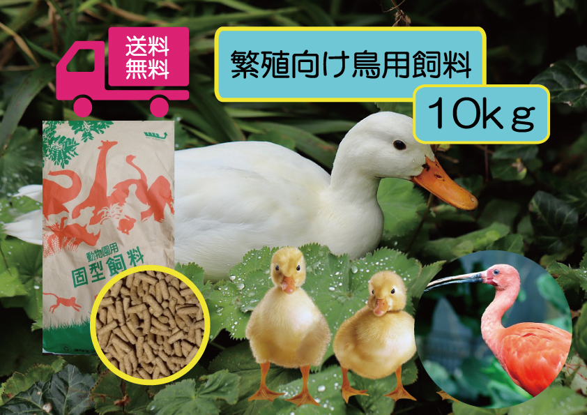 ☆送料無料 大袋1袋10ｋｇ　 水鳥全般用