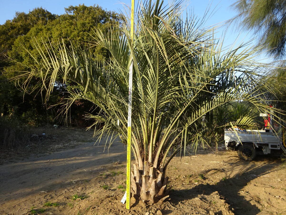 item_image_6