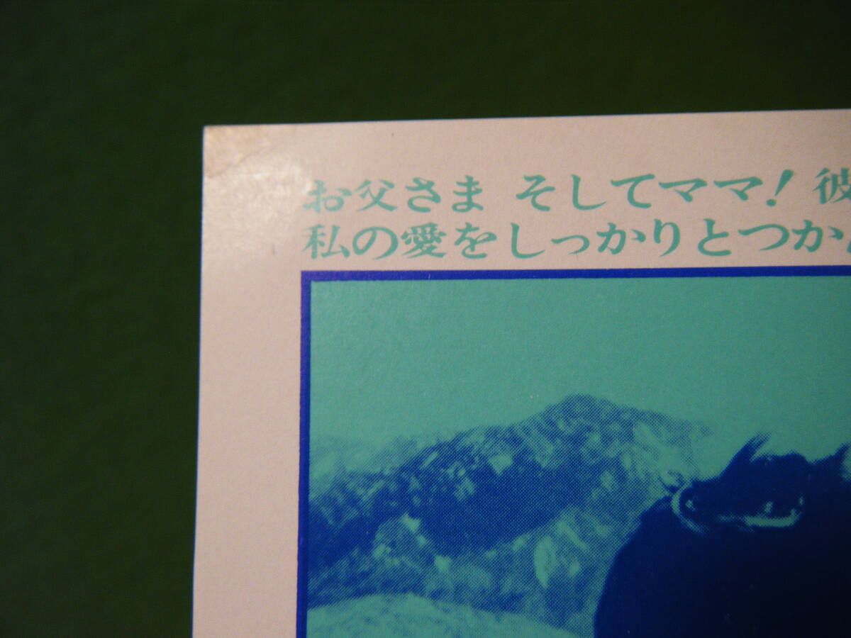 BO74◆送料無料◆未使用 希少 『 続 あの空に太陽が 』マリリン・ハセット/ティモシー・ボトムズ 映画ハガキ 試写ご招待 当時物_画像4