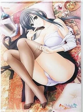 C85 ワルキューレロマンツェ More＆More 綾子の大人な休日タペストリー＆テレカセット