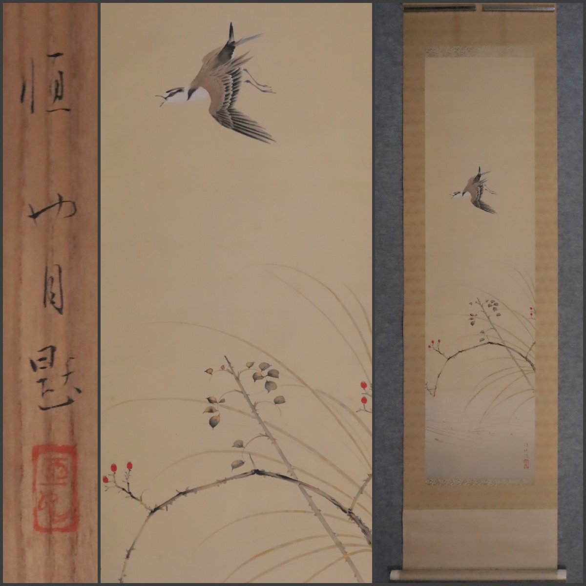 模写】吉】12079 井上恒也 花鳥図 まくり 共箱 寺崎広業・川合 模写】吉】12079 井上恒也 花鳥図 まくり 共箱 寺崎広業・川合