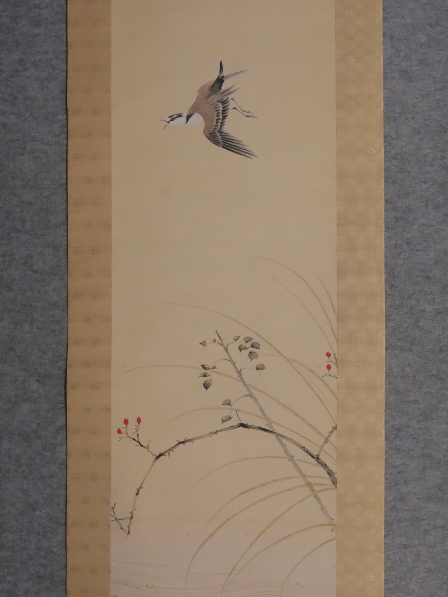 【一部予約販売】 花鳥図 井上恒也 模写】吉】12079 まくり 寺崎広業・川合 共箱 絵画