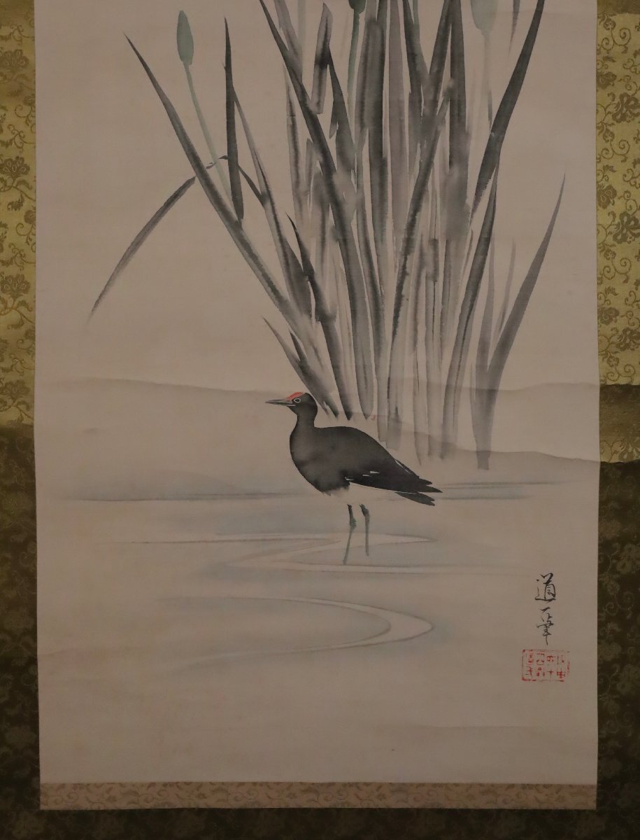 模写】吉】12068 酒井道一 花鳥図 鈴木其一師事 琳派 雨華庵