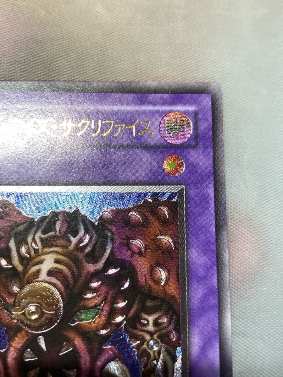 上品】 遊戯王 まとめ売り サウザンドアイズサクリファイス 上品】 遊戯王 まとめ売り サウザンドアイズサクリファイス